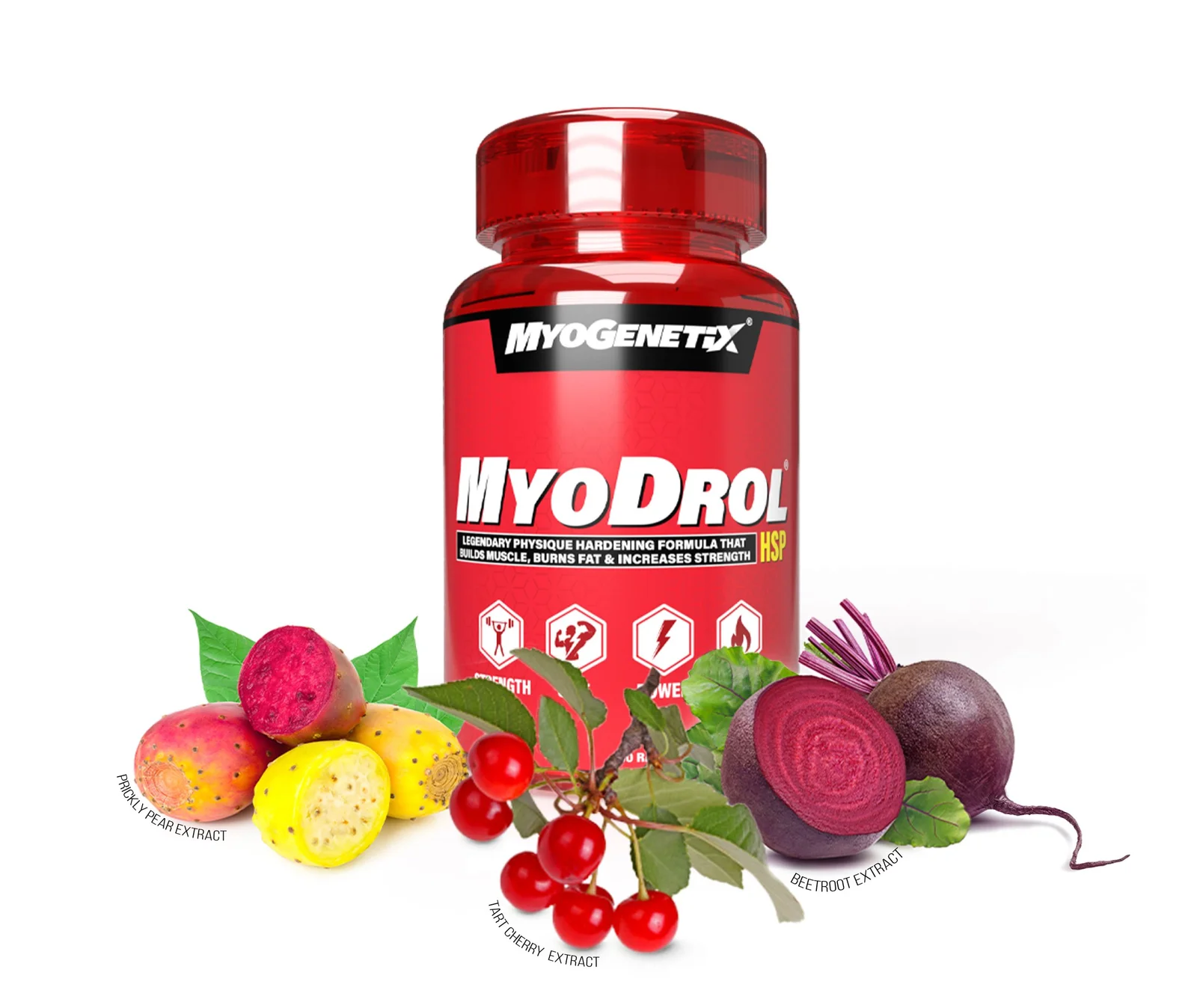 Myodrol-HSP® – The One & Only Original Muscle Creator 30TAB